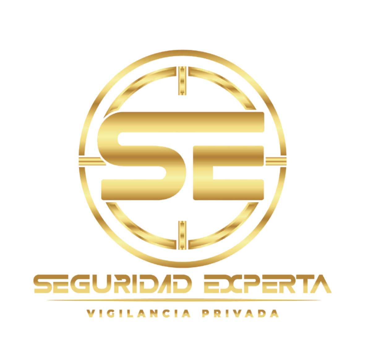 logo seguridad experta